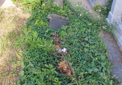 Horní Beřkovice, Omnium, 2020