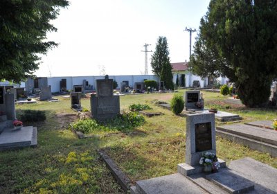 Horní Beřkovice, Omnium, 2020