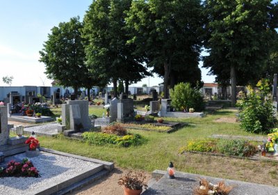 Horní Beřkovice, Omnium, 2020