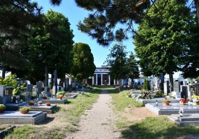 Horní Beřkovice, Omnium, 2020