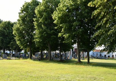 Horní Beřkovice, Omnium, 2020