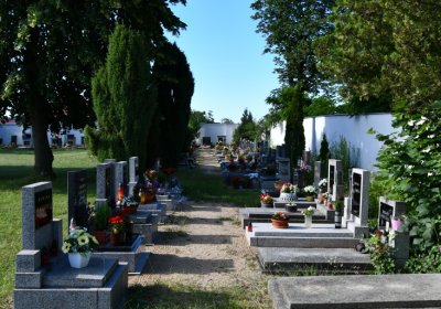 Horní Beřkovice, Omnium, 2020