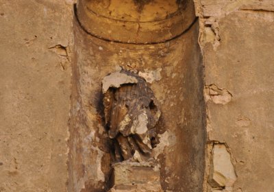 Dolánky nad Ohří u kostela, Omnium, 2020