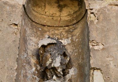 Dolánky nad Ohří u kostela, Omnium, 2020