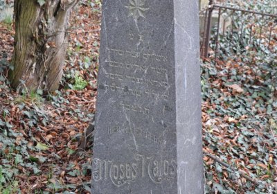 Třebívlice, Omnium, 2020