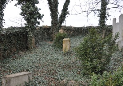 Třebívlice, Omnium, 2020