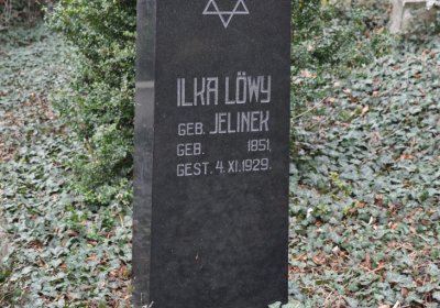 Třebívlice, Omnium, 2020