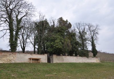 Třebívlice, Omnium, 2020