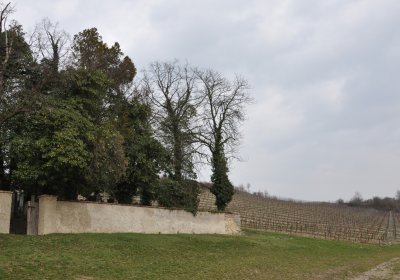 Třebívlice, Omnium, 2020