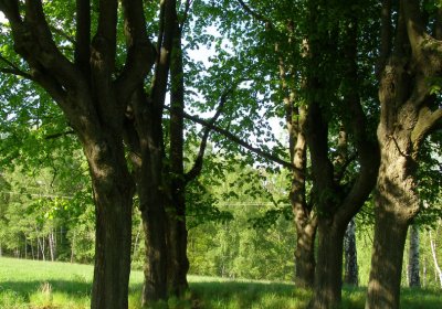 Kmínek Michal, 2020