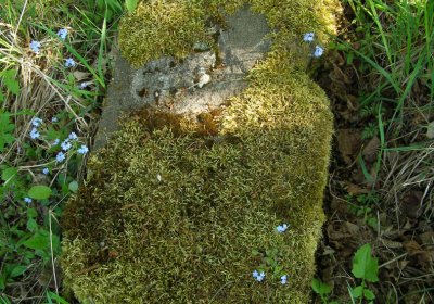 Kmínek Michal, 2020