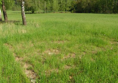 Kmínek Michal, 2020