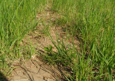 Kmínek Michal, 2020