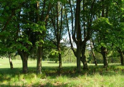 Kmínek Michal, 2020