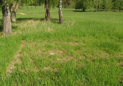 Kmínek Michal, 2020