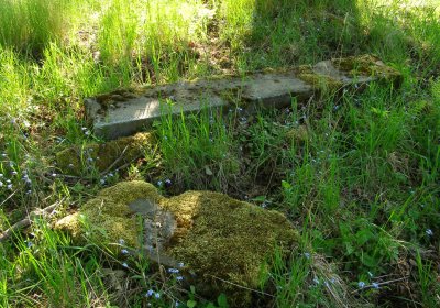 Kmínek Michal, 2020