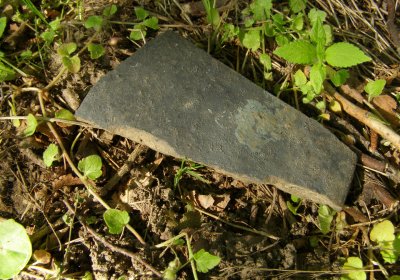 Kmínek Michal, 2020