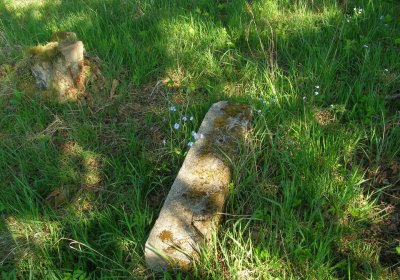 Kmínek Michal, 2020