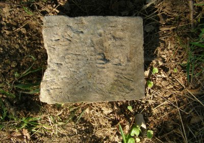 Kmínek Michal, 2020