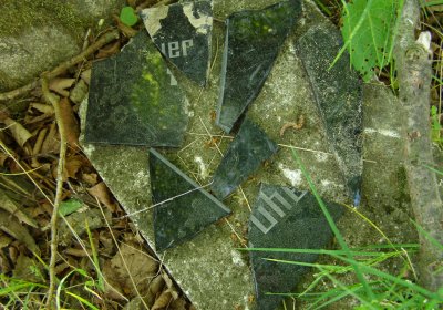 Kmínek Michal, 2020