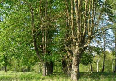 Kmínek Michal, 2020