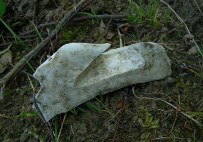 Kmínek Michal, 2020