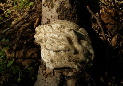 Kmínek Michal, 2020