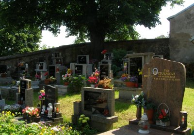 Kmínek Michal, 2020