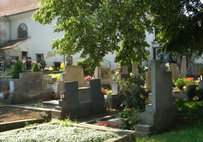 Kmínek Michal, 2020