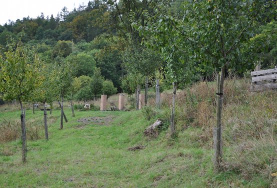 Omnium, 2020