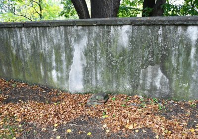 Podlesice u kostela, Omnium, 2020