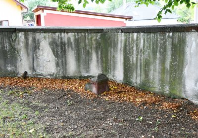 Podlesice u kostela, Omnium, 2020