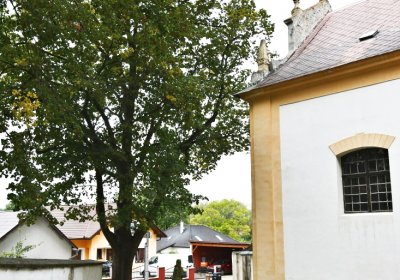 Podlesice u kostela, Omnium, 2020