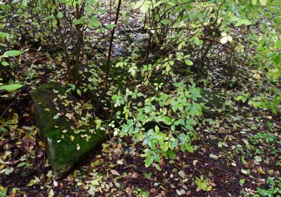 Sutom u kostela, Omnium, 2020