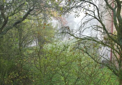 Sutom u kostela, Omnium, 2020