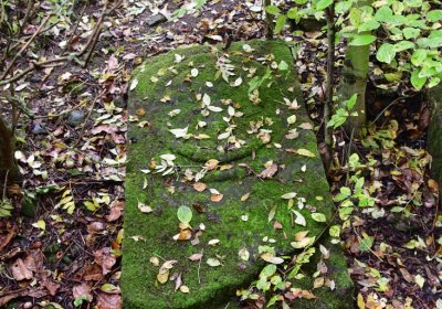 Sutom u kostela, Omnium, 2020