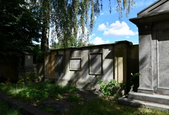 Omnium, 2020
