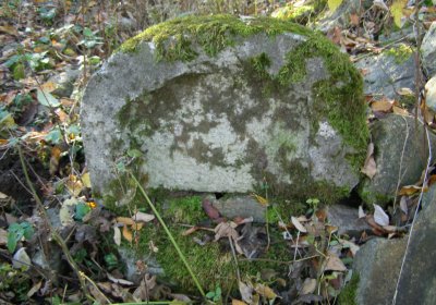 Kmínek Michal, 2020