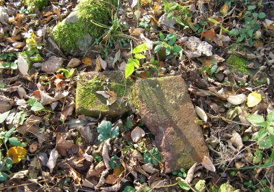 Kmínek Michal, 2020