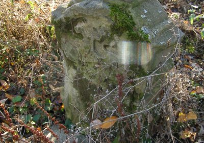 Kmínek Michal, 2020