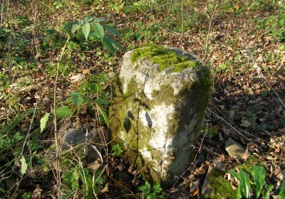 Kmínek Michal, 2020