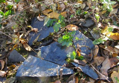 Kmínek Michal, 2020