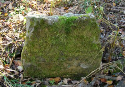 Kmínek Michal, 2020