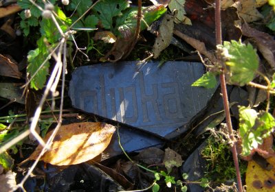 Kmínek Michal, 2020