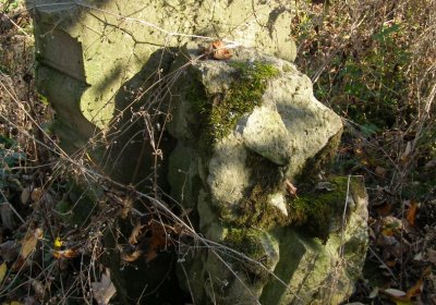 Kmínek Michal, 2020