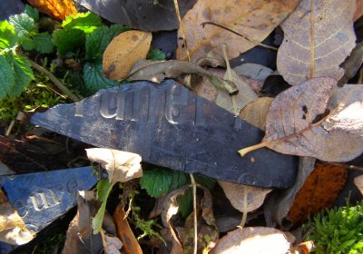 Kmínek Michal, 2020