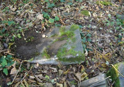 Kmínek Michal, 2020