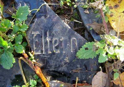 Kmínek Michal, 2020