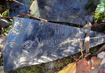 Kmínek Michal, 2020