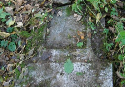 Kmínek Michal, 2020